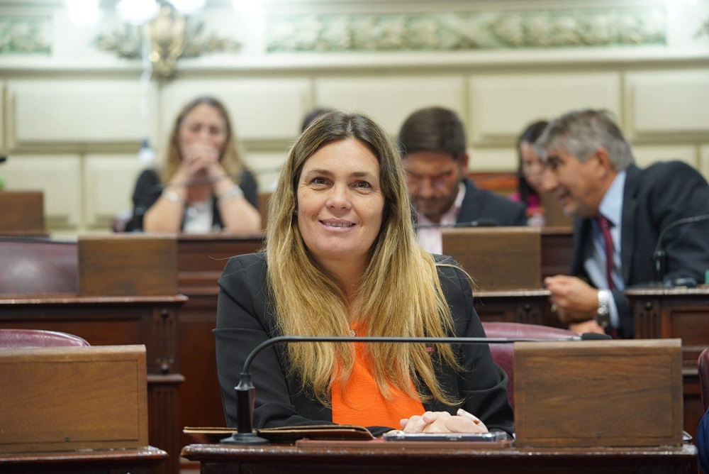 Di Stefano: "Es hora de modernizar nuestra Constitución para garantizar mayor transparencia"